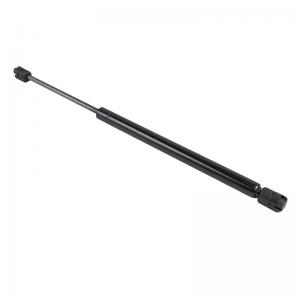Gas Strut
